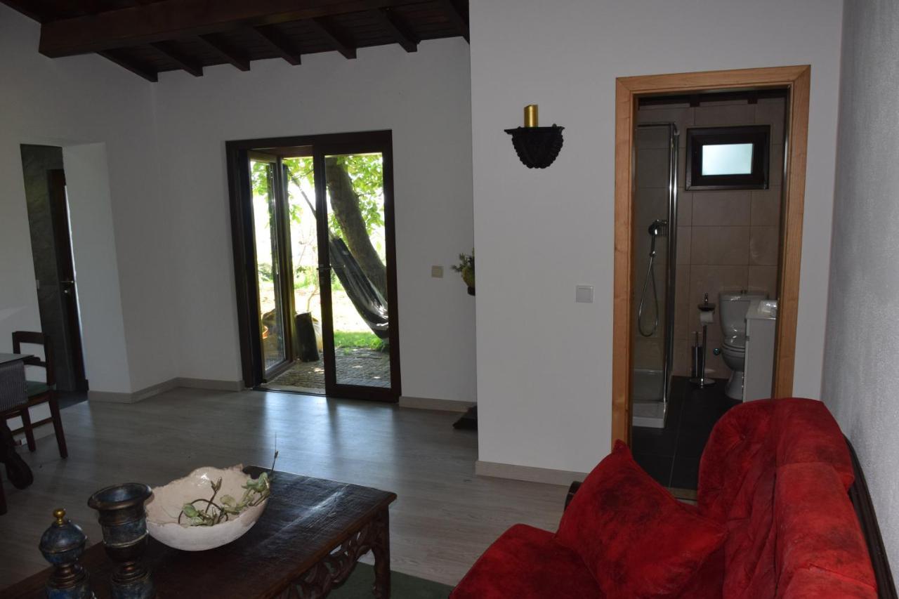 Quinta Da Boa Ventura Hotel Bragança Екстериор снимка