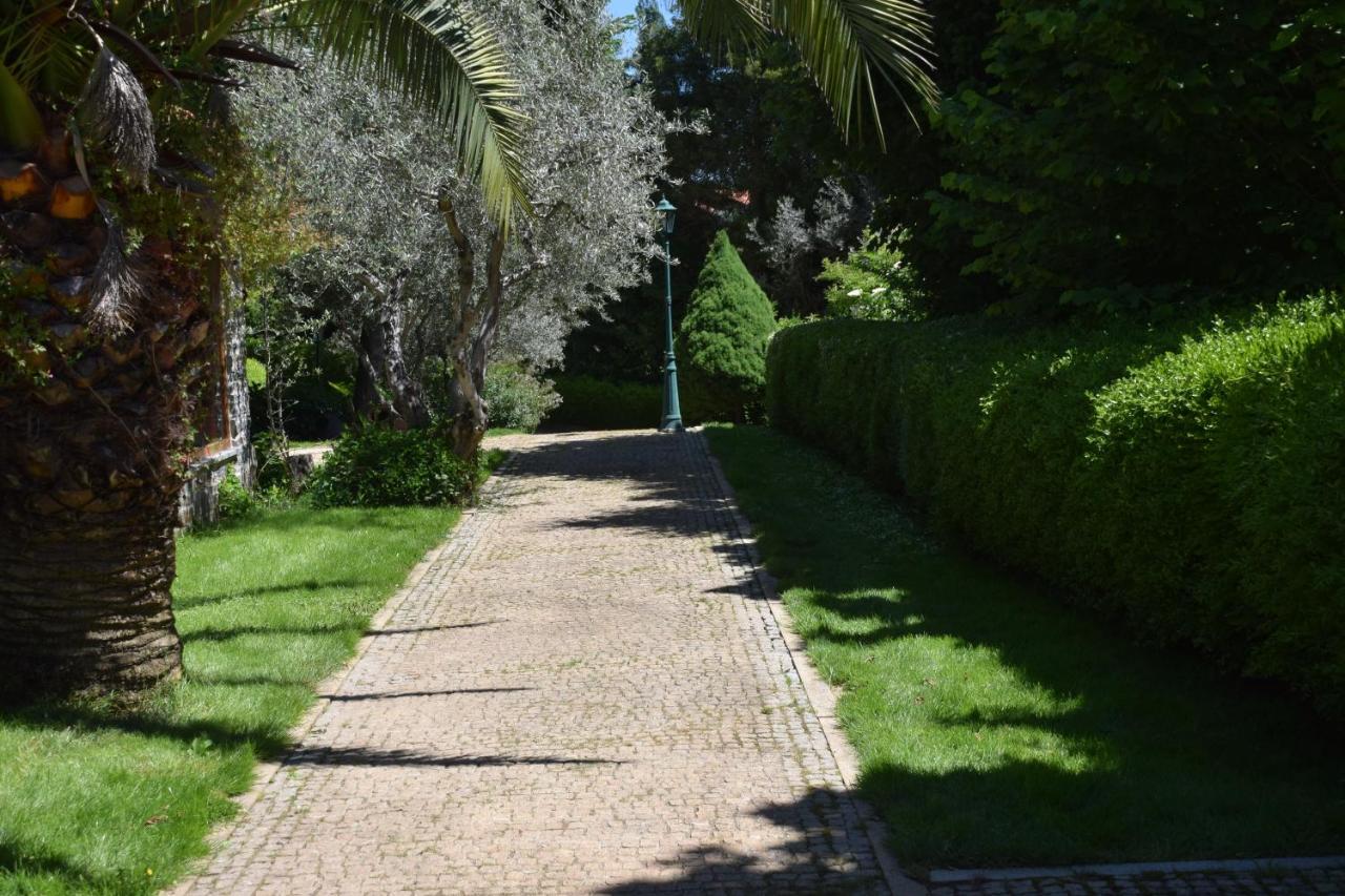 Quinta Da Boa Ventura Hotel Bragança Екстериор снимка